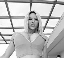 big tits tranny